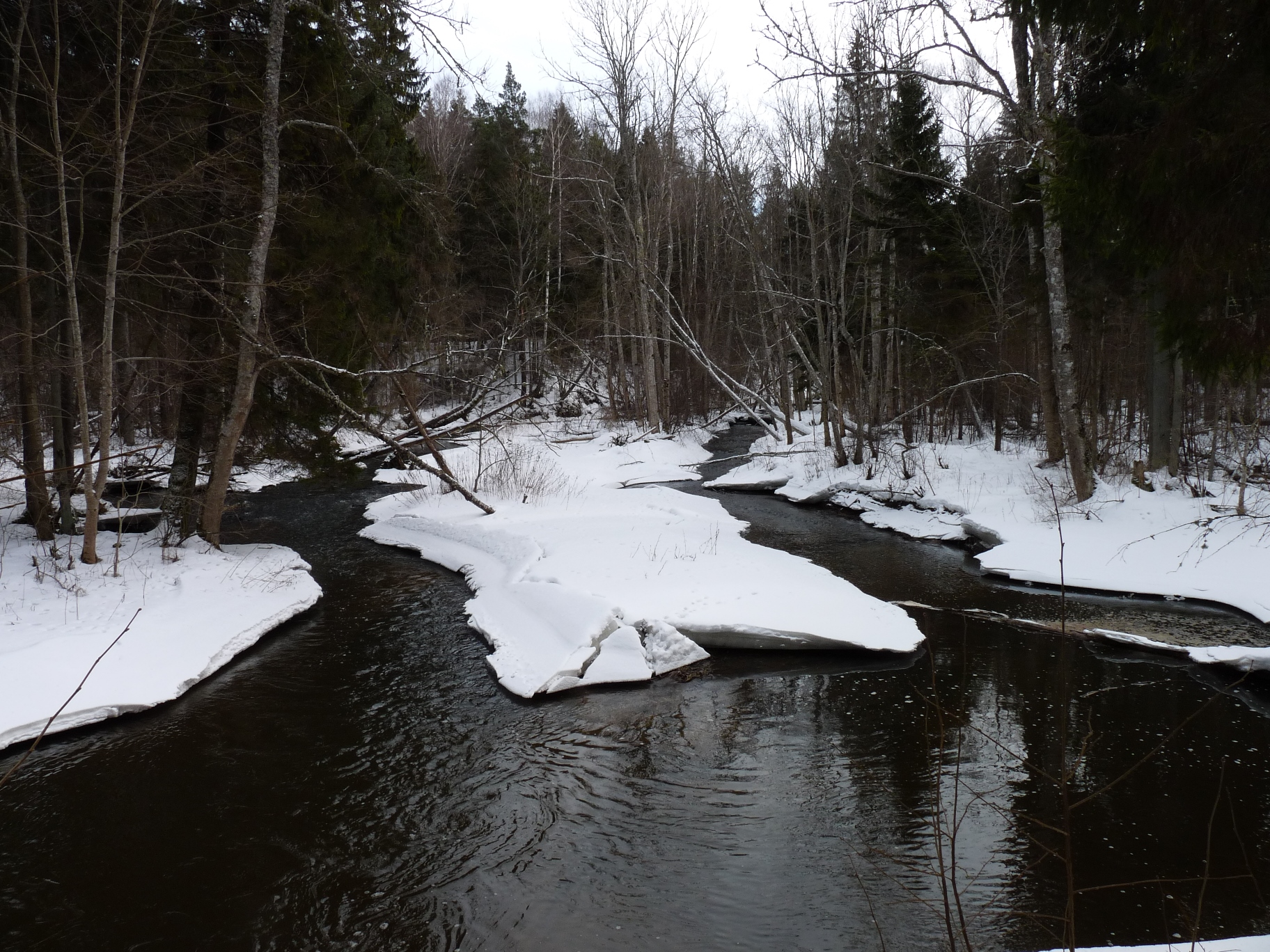 No 1. marta – aizliegts makšķerēt līdakas