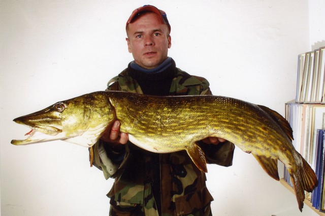 Pusdienas laika līdaka