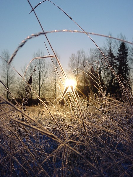 Spēcīgais ziemas Saulgriežu laiks – laiks domāt un darīt!