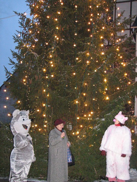 Paliec sveika, brīnumskaistā svētku egle!