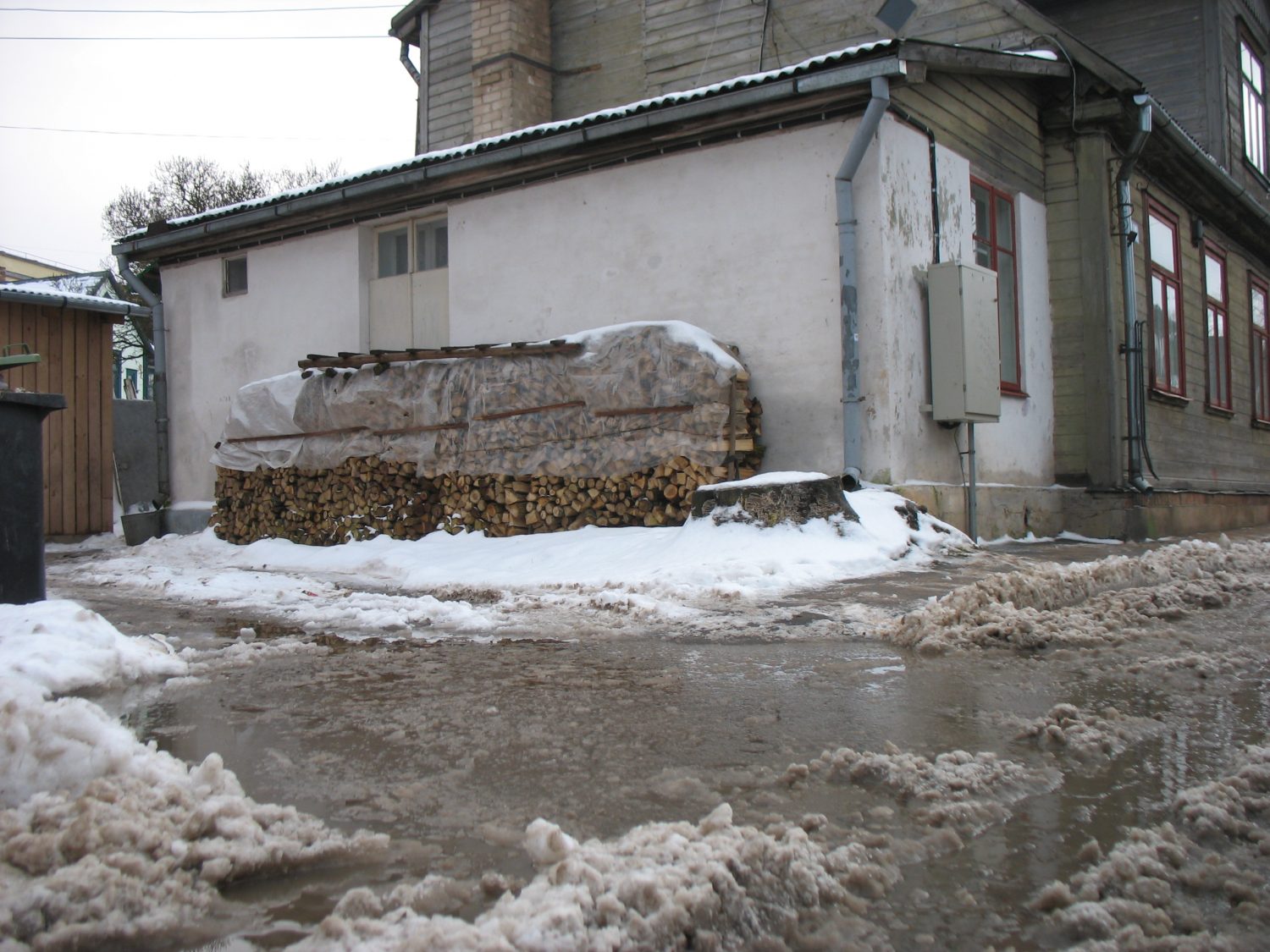 Tukumā – ziema pavasarīgās noskaņās