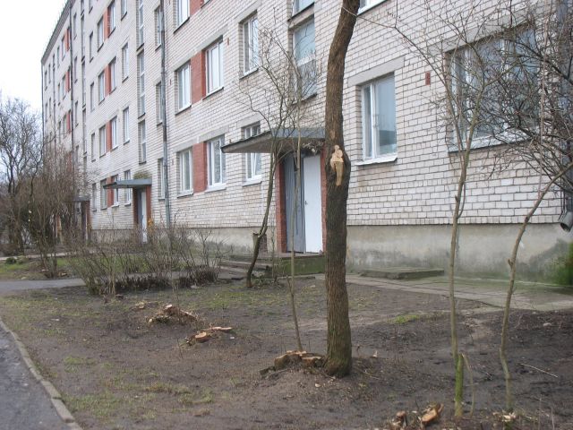 Stādīto posta, tāpēc vietā nestāda