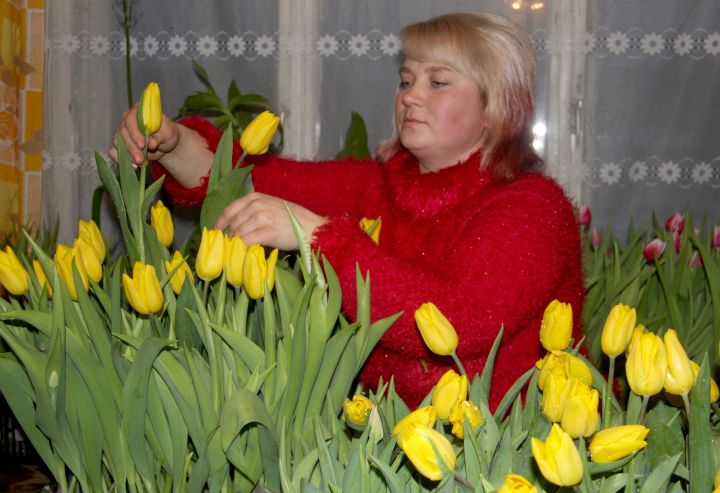 Sveiciens svētkos – skaistās, labās, mīļotās!