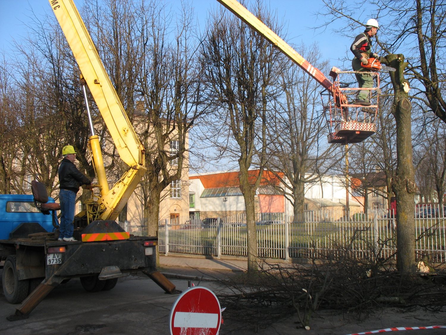 Raiņa ielā apzāģē liepas