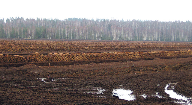Sīļu purvā top substrāts puķu un dārzeņu audzēšanai