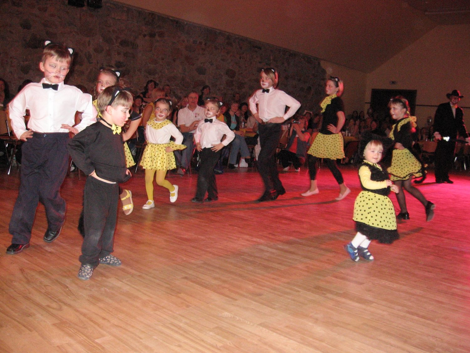 Martā līnijdejotāji tiekas Milzkalnē