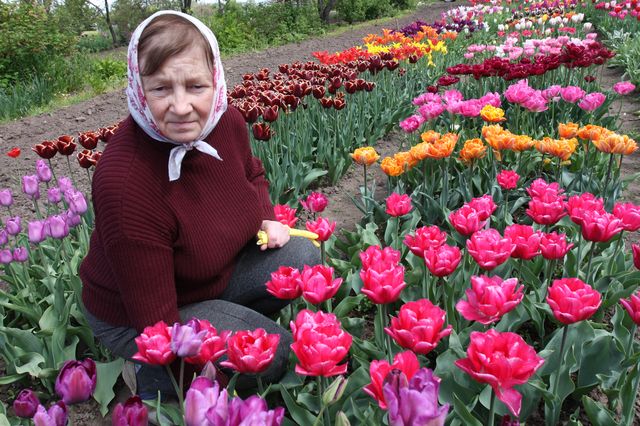 Dzidras Sticeres mīļdobe