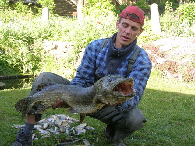 Līdaka pēc pasūtījuma