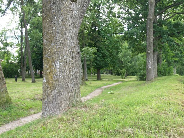 Pilsētas parkā darbi tomēr gaidāmi