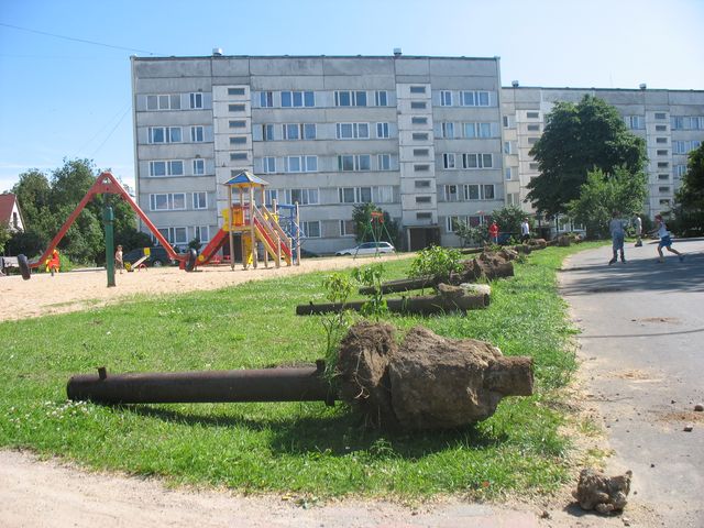 Izrok stabus pie Meža ielas 2 un Meža ielas 4