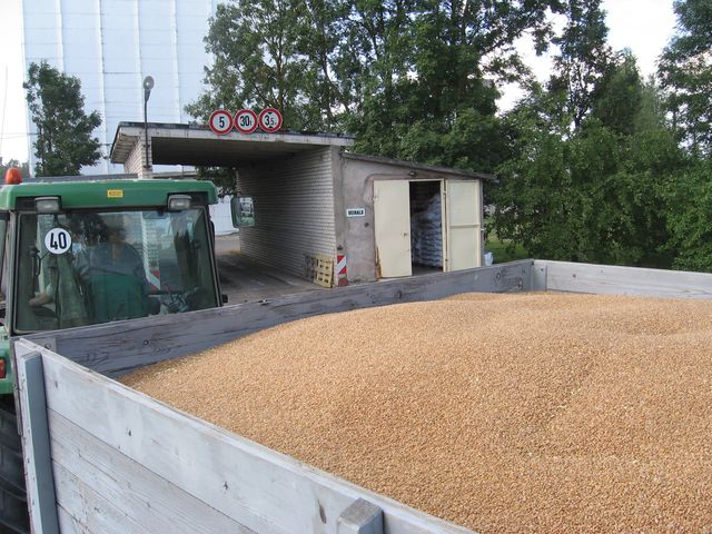 Ražas laiks sācies veiksmīgi