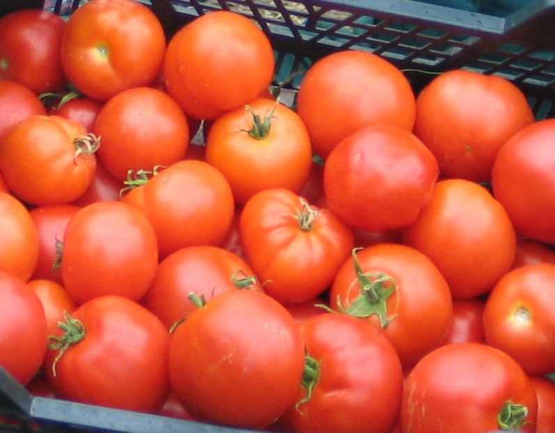 Dodamies uz tomātu parādi