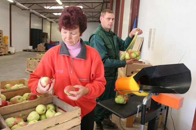 Jāskaitļo, lai vairāk nopelnītu