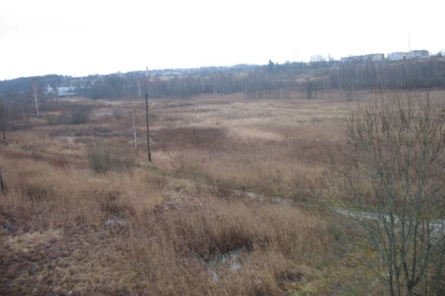 Ezera atjaunošana – atkal domes darba kārtībā