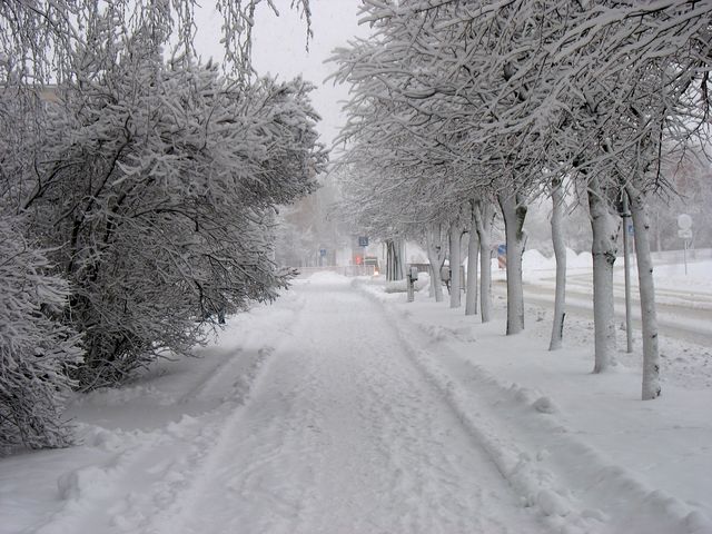 Par sniega radītajām neētrībām tukumnieku ikdienā