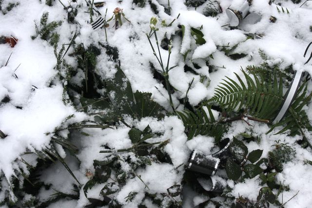 Kapu žogam līdzekļu nepietiek