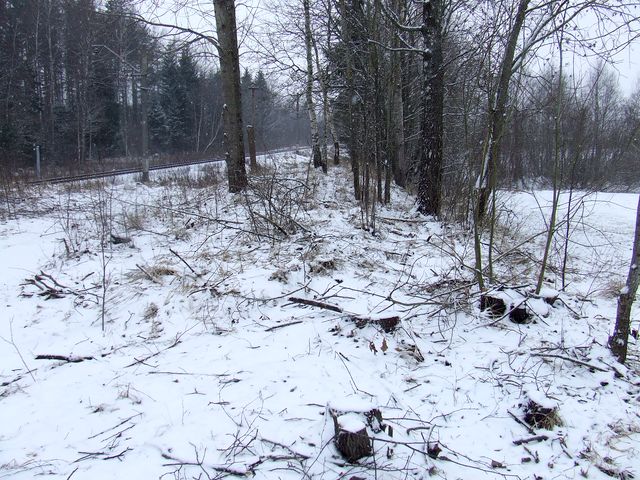 Malkas nav, un zāģis pagalam…