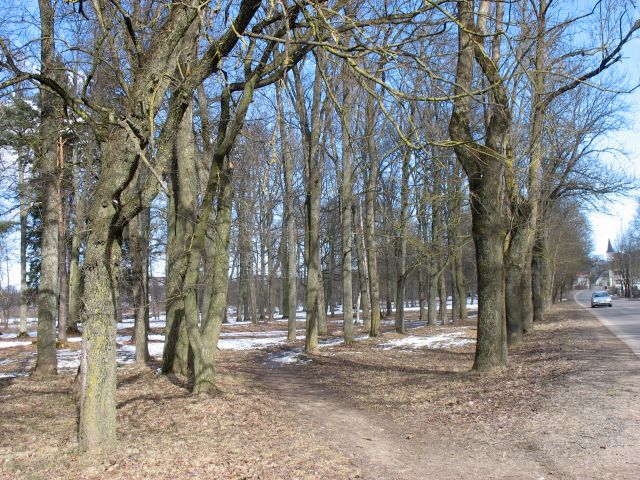 Vai pilsētas parka liktenis tukumniekiem nesvarīgs?