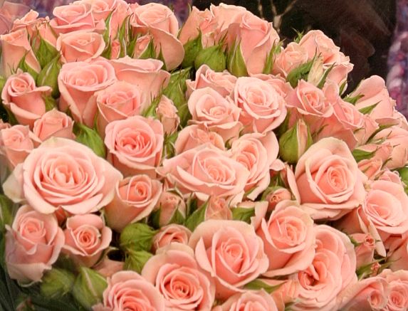 Cauru nakti valša taktī…