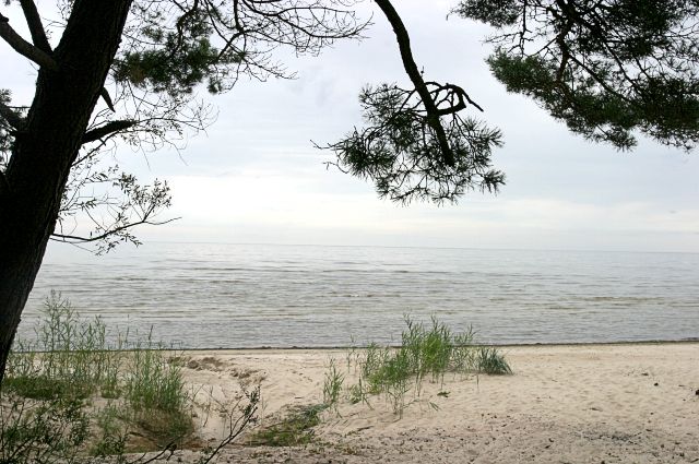 Sargās zemūdens pļavas un putnus