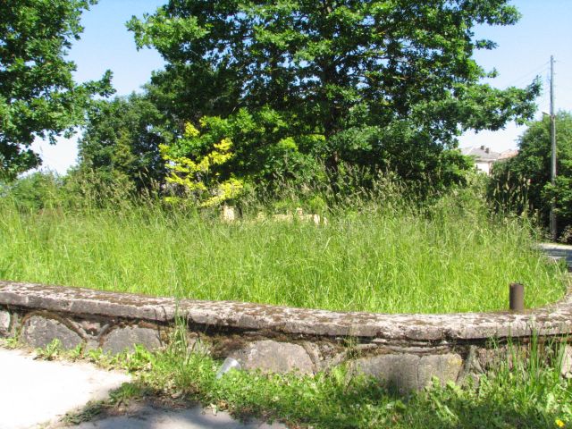 Un zāle vēl arvien aug griezdamās