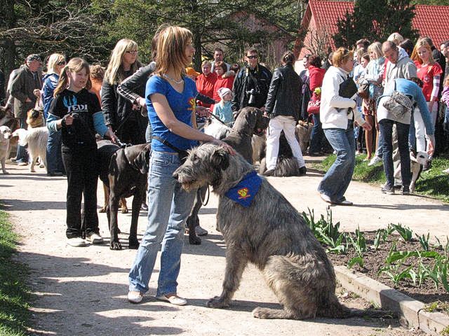 Kandavā svētki mūsu mīluļiem