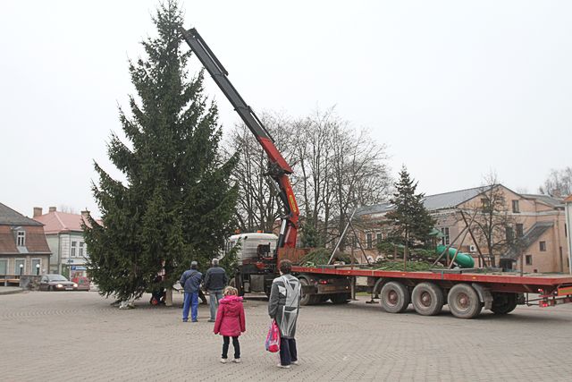 Pilsētas galvenā Ziemsvētku egle – Brīvības laukumā