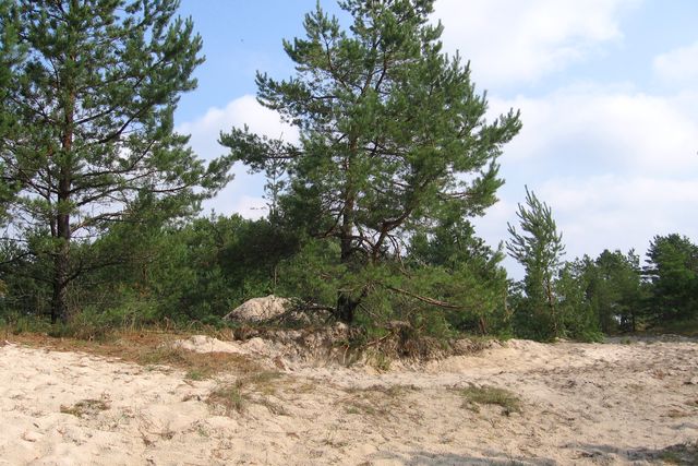 Vai «Kuģukalnu» kāpu tomēr apbūvēs?