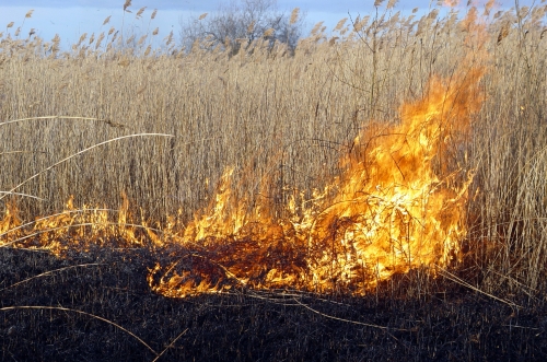 Sakopti lauki mazina kūlas ugunsgrēku skaitu
