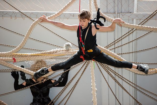 Zirneklīša piedzīvojumi internātvidusskolā