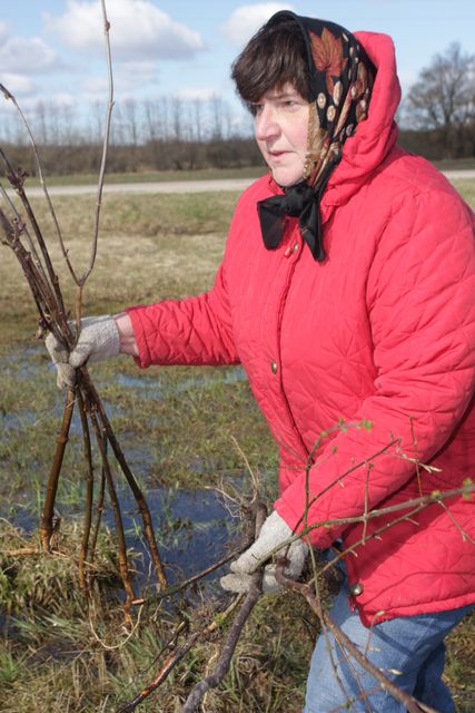Lielajā talkā Degoles pagasta Vienībā iestāda ”Putnu parku”