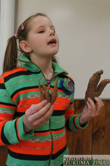 Mazpulcēni Irlavā rāda savus labos zaļos darbus