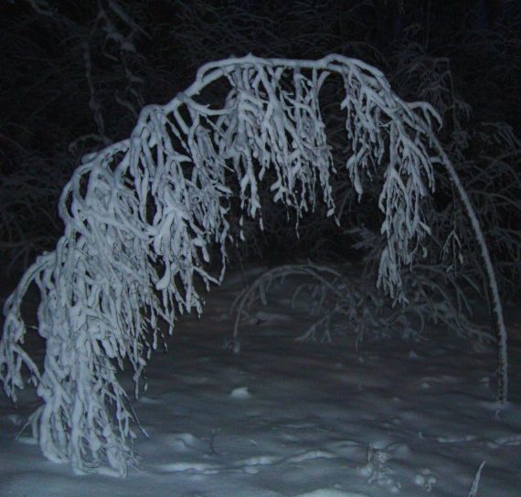 Dabas spēks un skaistums