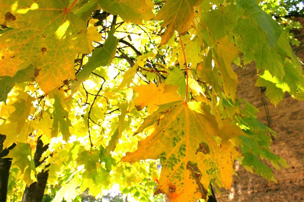 Nedēļas nogales pasākumi Tukuma novadā