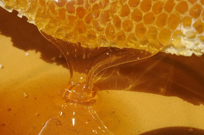 Stipriniet imunitāti ar medu un dzērvenēm!