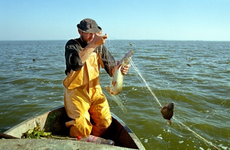 Abragciemā nozagti 100 m zvejas tīkla
