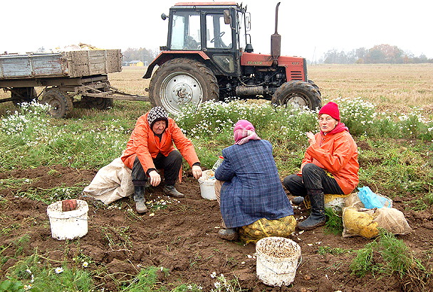 Vai VID iznīcinās seno labdarību un svētkus laukos – talkas?