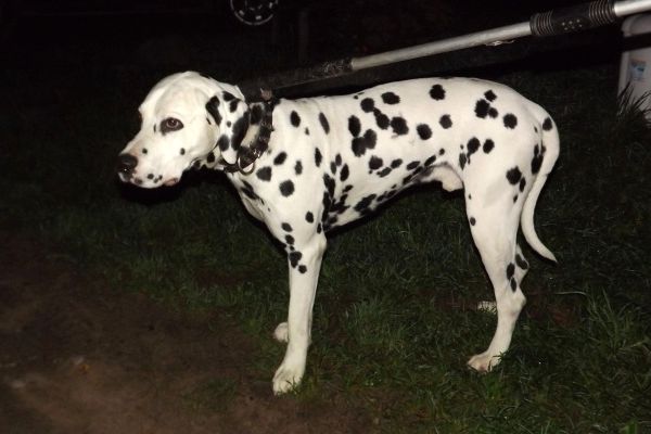 Saimniek, atsaucies!