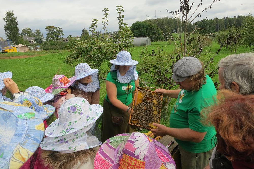Latvijas bitenieki aicina apmeklēt dravas Medus dienā 14. septembrī