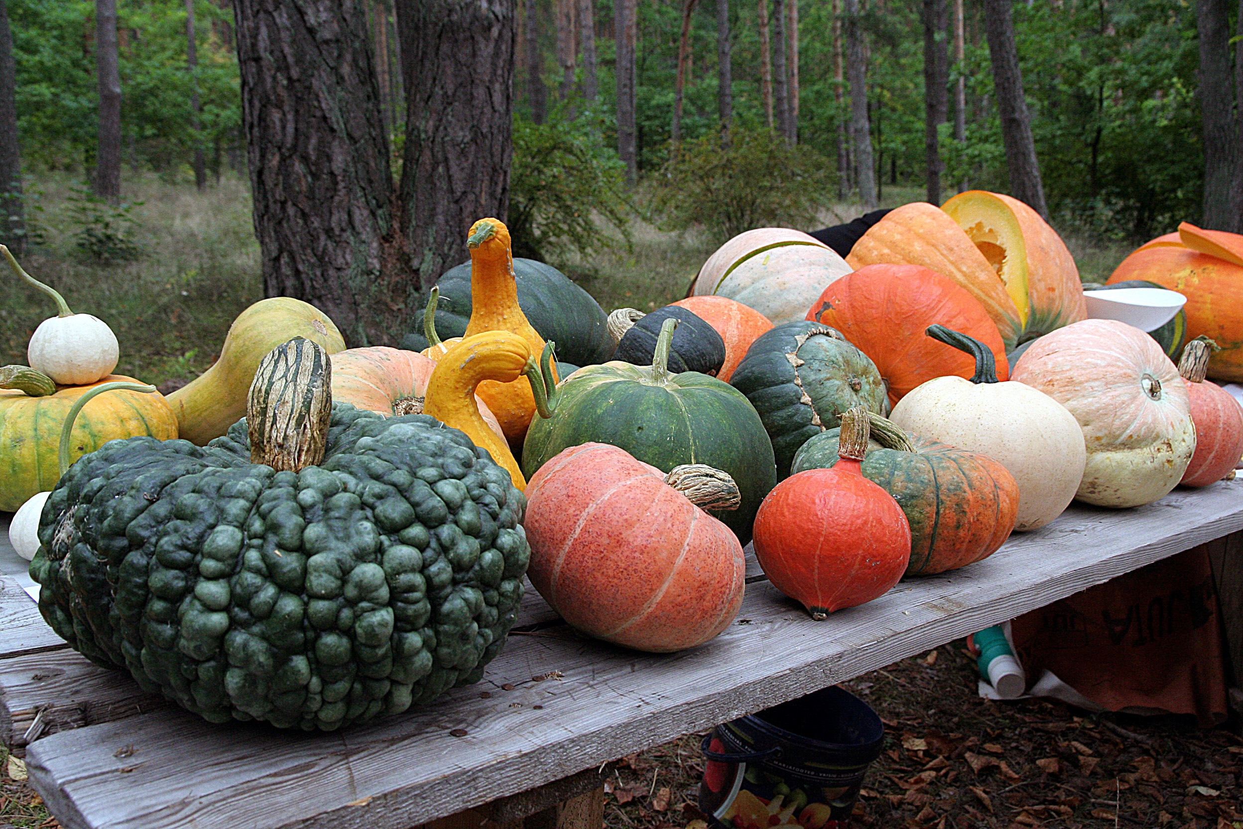 Svētdien Brīvdabas muzejā notiks Rudens ražas svētki