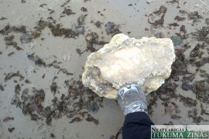 Jūrmala no Rojas līdz Lapmežciemam piesārņota ar parafīnu