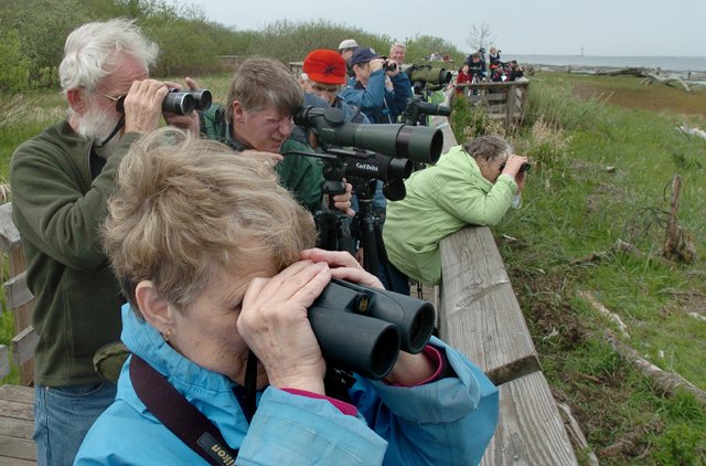 Šajā nedēļas nogalē – Eiropas putnu vērošanas dienas