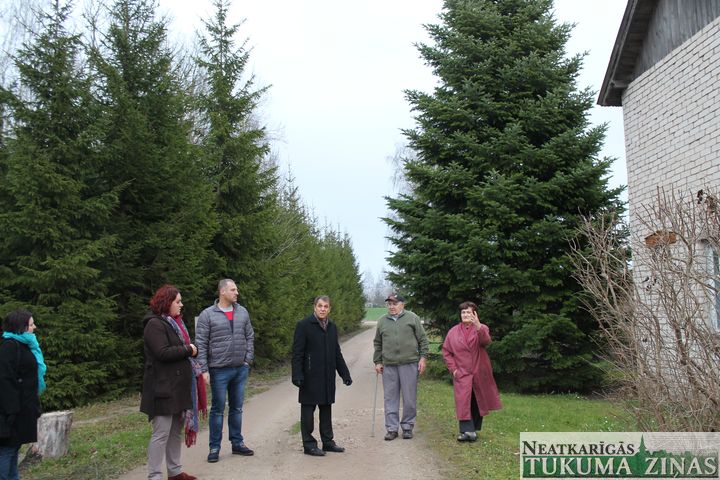 Tukuma lielā Ziemassvētku egle šogad būs no Tumes pagasta «Mazbērziņiem»