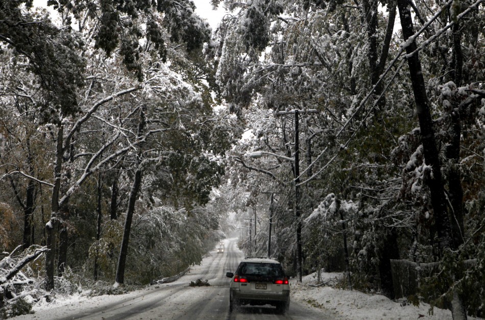 Smagās sniega segas dēļ lūzt koki