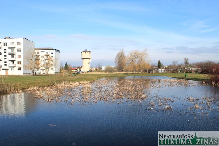 Jauntukumā jaunieši ar akmeņiem nomētā putnus