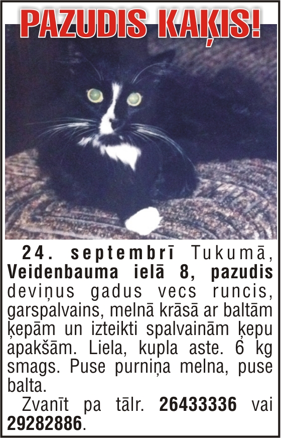 Tukumā pazudis minka