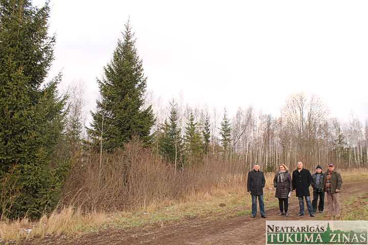 Tukuma svētku eglītes noskatītas Sēmē