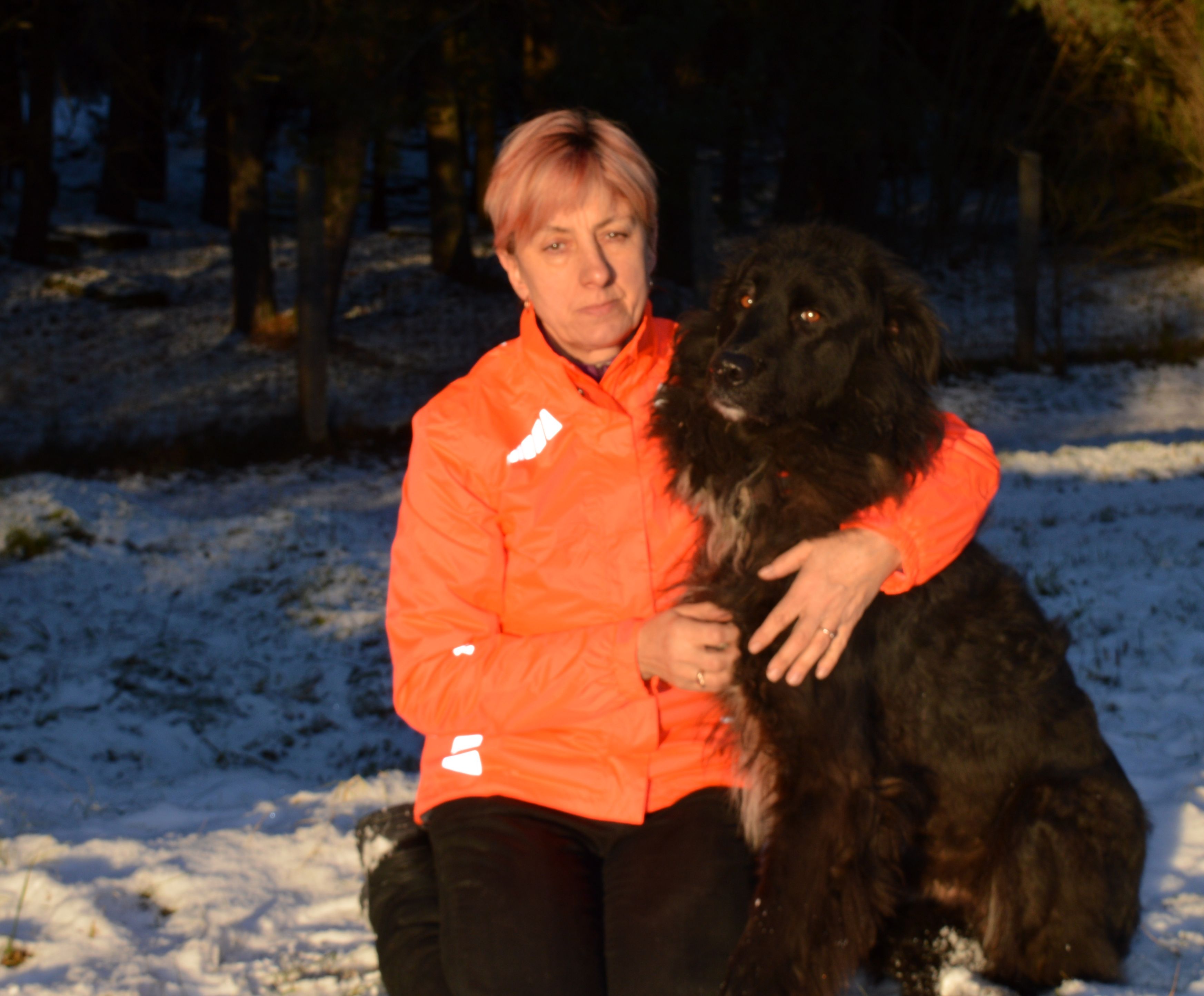 Palīdzi saimniekiem atrast svētkos noklīdušos suņus