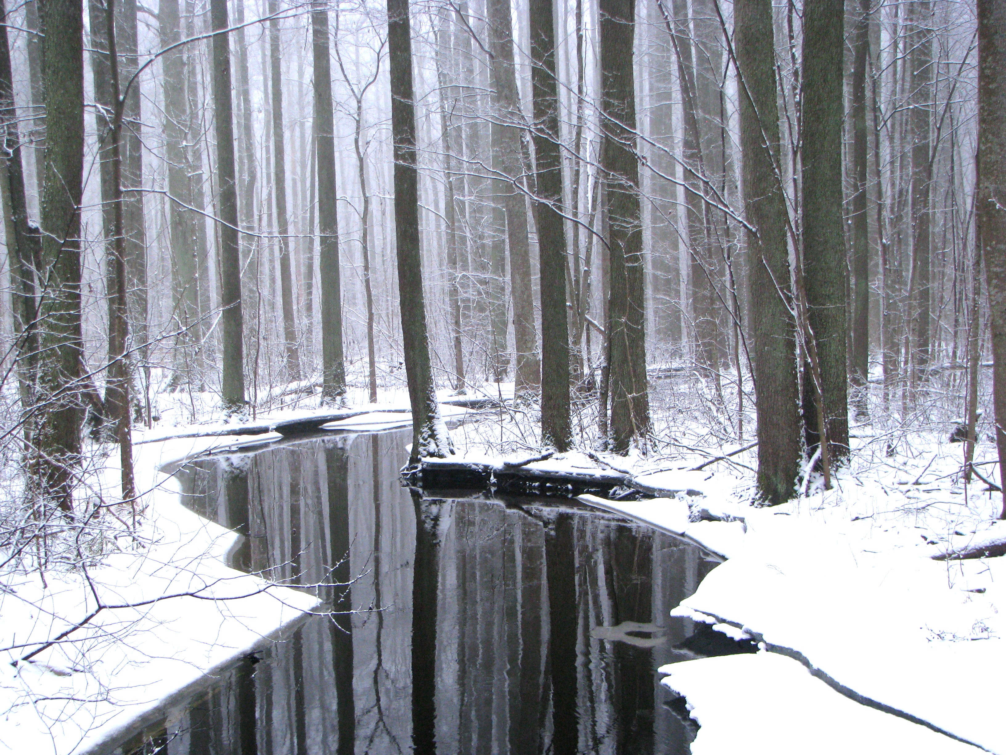 21. februārī Ķemeros atzīmēs Mitrāju dienu