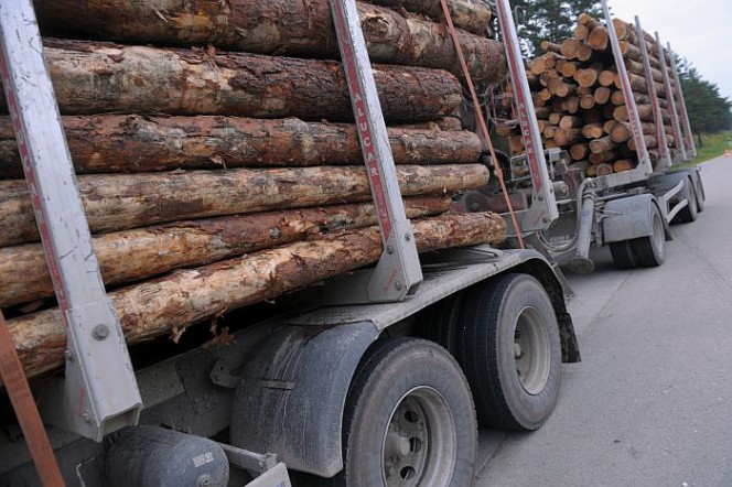 Engurē no baļķvedēja nozog baļķus, Tukumā no veikala letes – mobilo telefonu